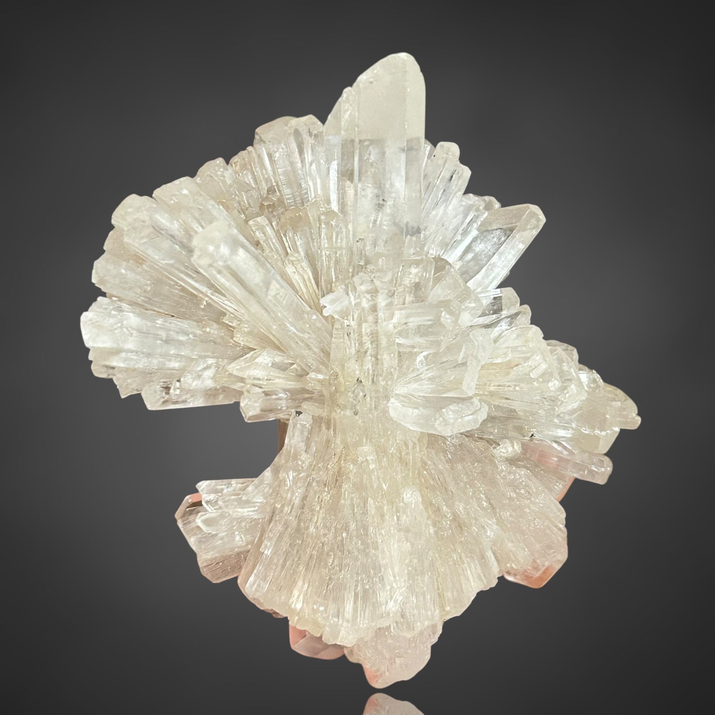 Gips xx/Gypsum - Zimmersrode, Kassel, Germany