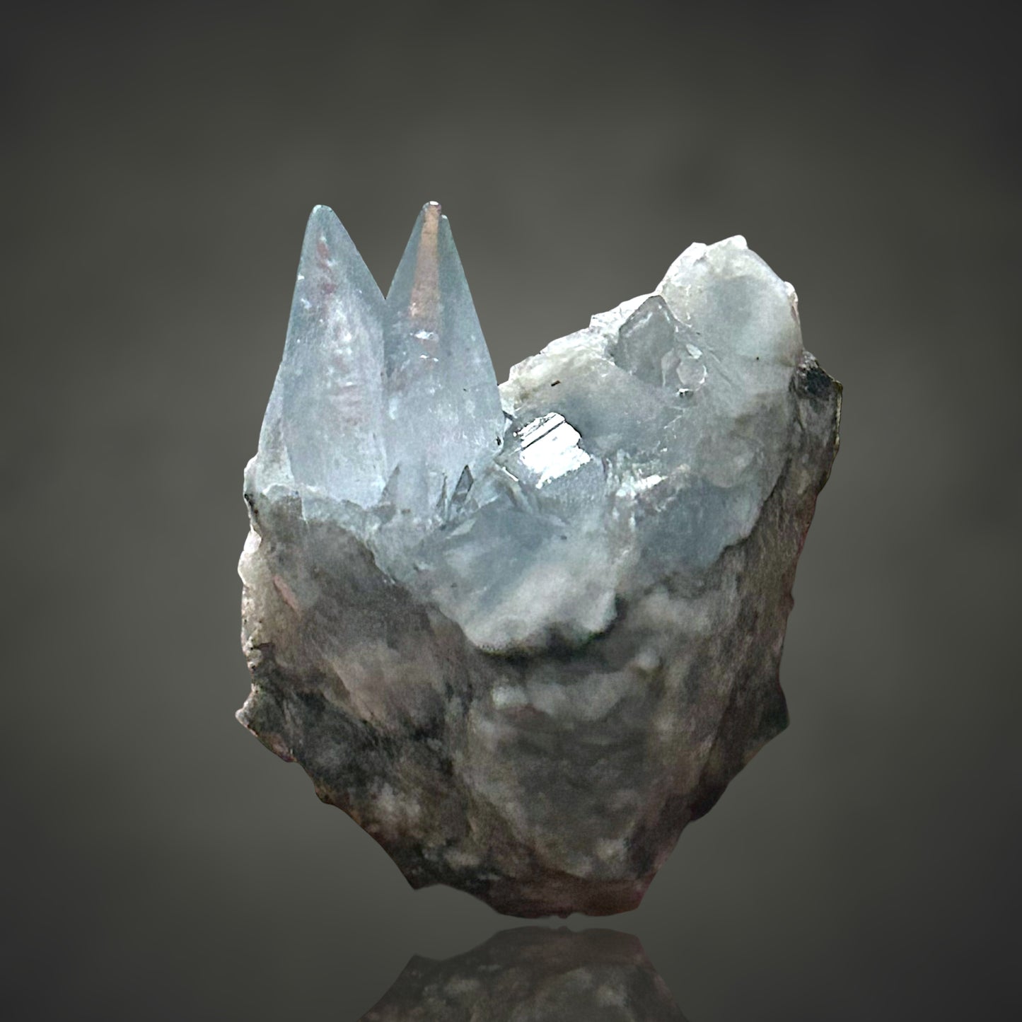 Coelestin - Deister, Hannover 🇩🇪