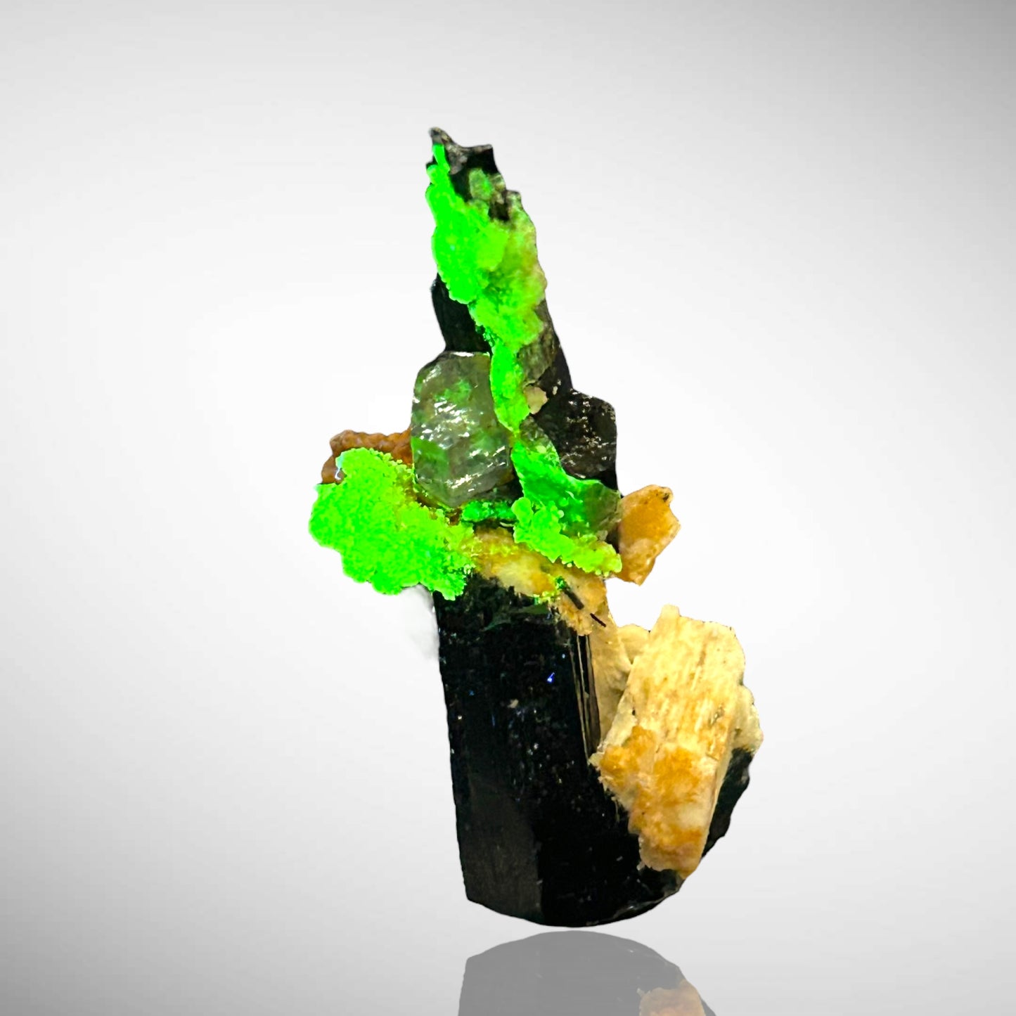 Aquamarin/e, Hyalit/e, Schorl - Erongo, Namibia