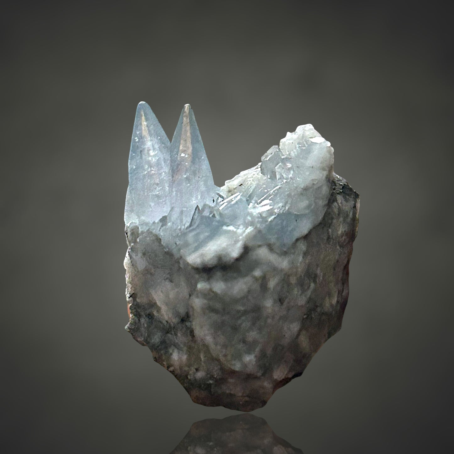 Coelestin - Deister, Hannover 🇩🇪