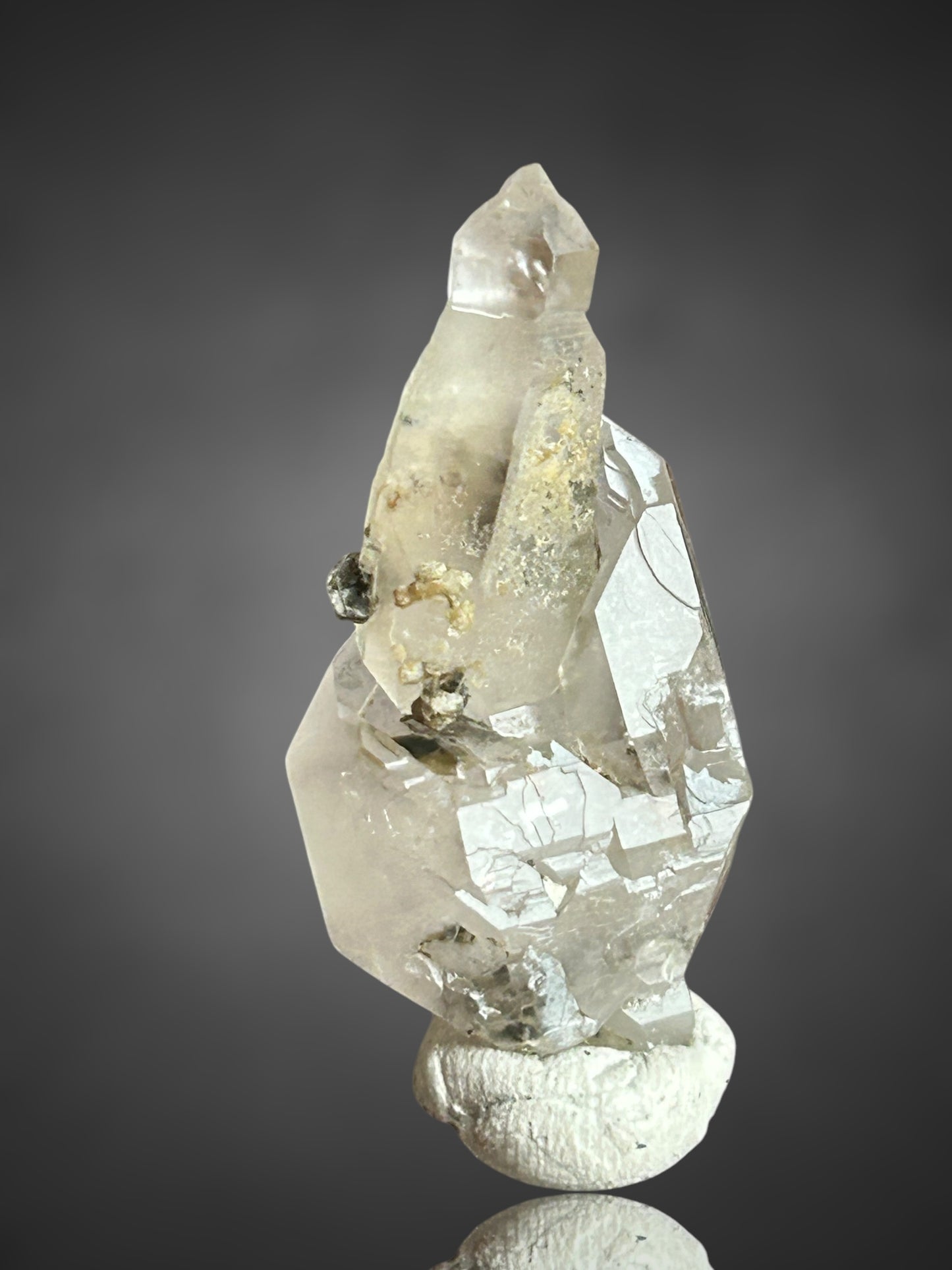 Amethystsceptre - Saurüssel, Tirol, Österreich