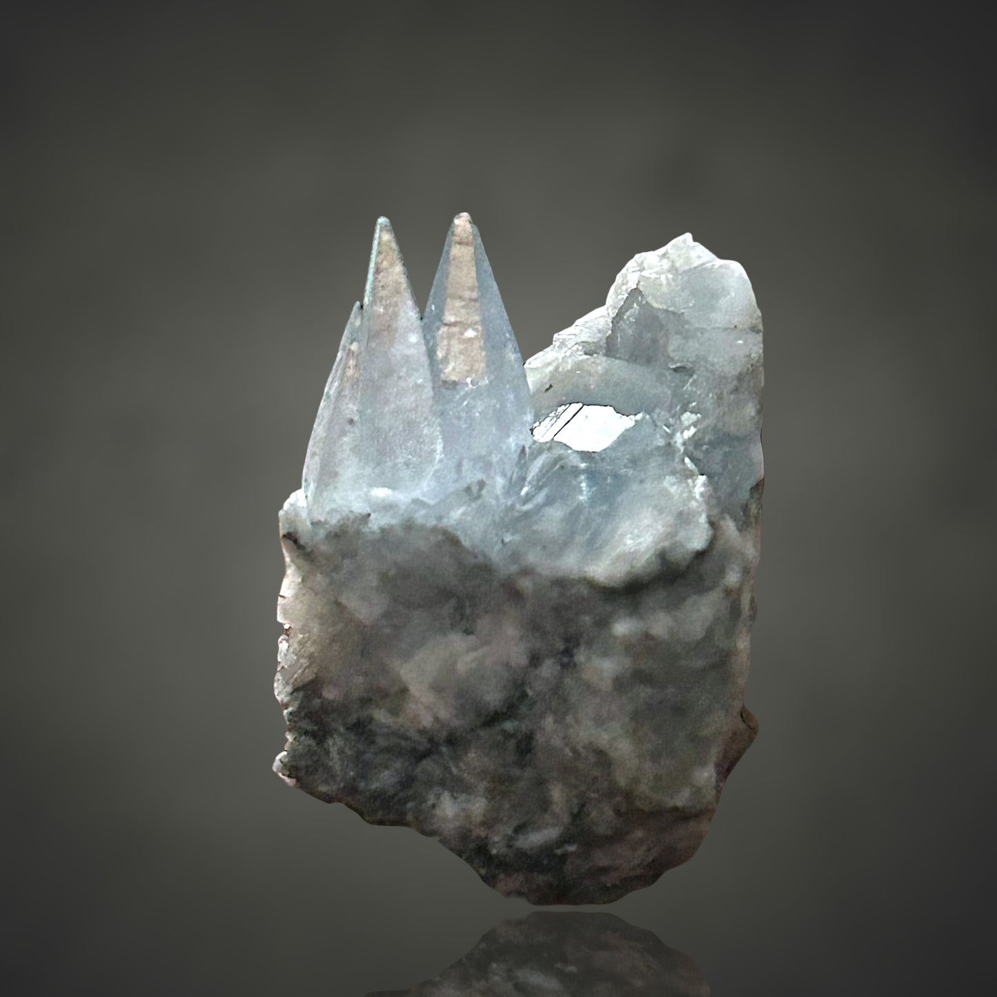 Coelestin - Deister, Hannover 🇩🇪