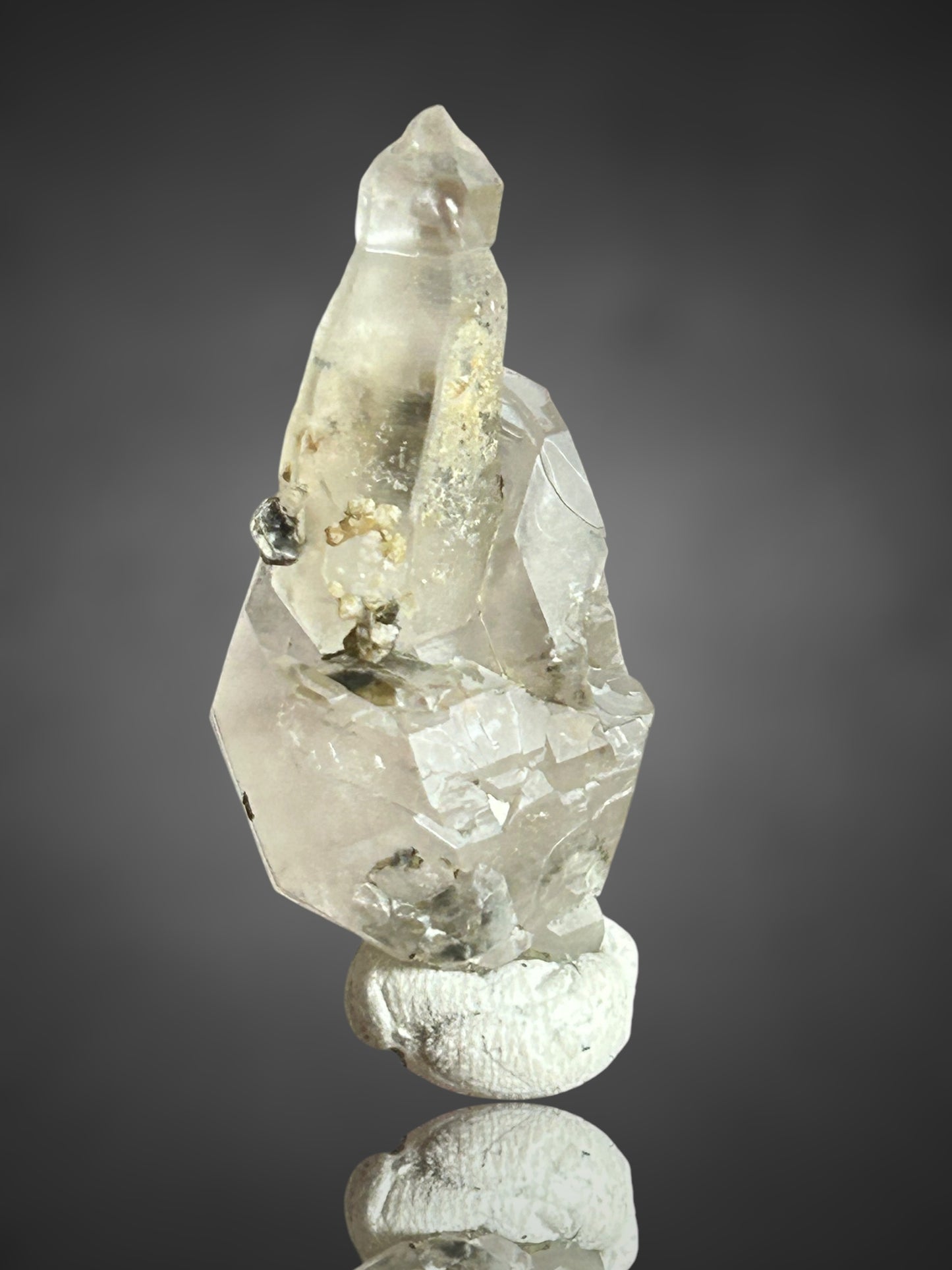 Amethystsceptre - Saurüssel, Tirol, Österreich