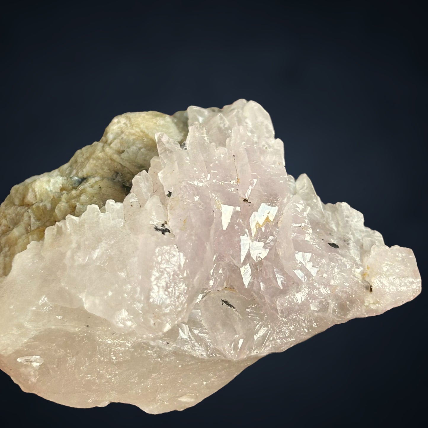 Rosenquarz Doppelender/Rose quartz DT - Brasil/ien