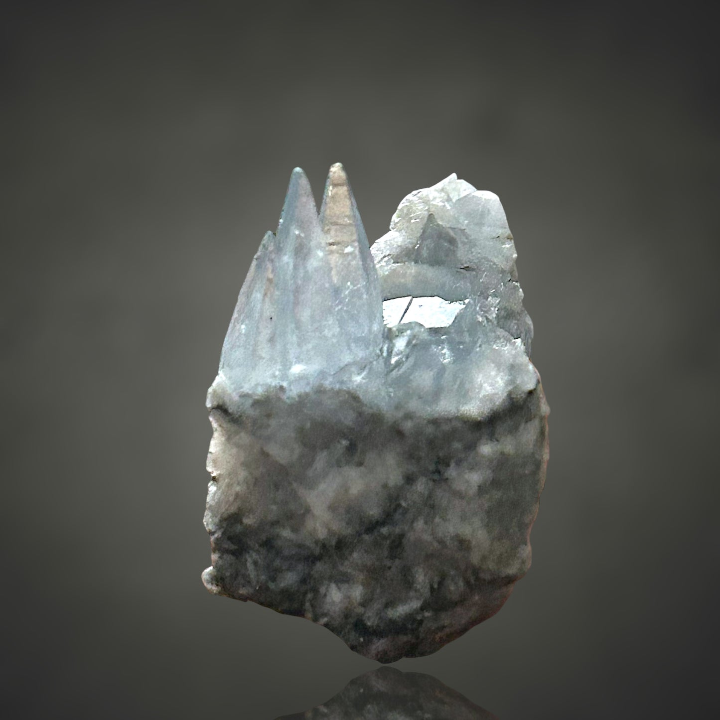 Coelestin - Deister, Hannover 🇩🇪