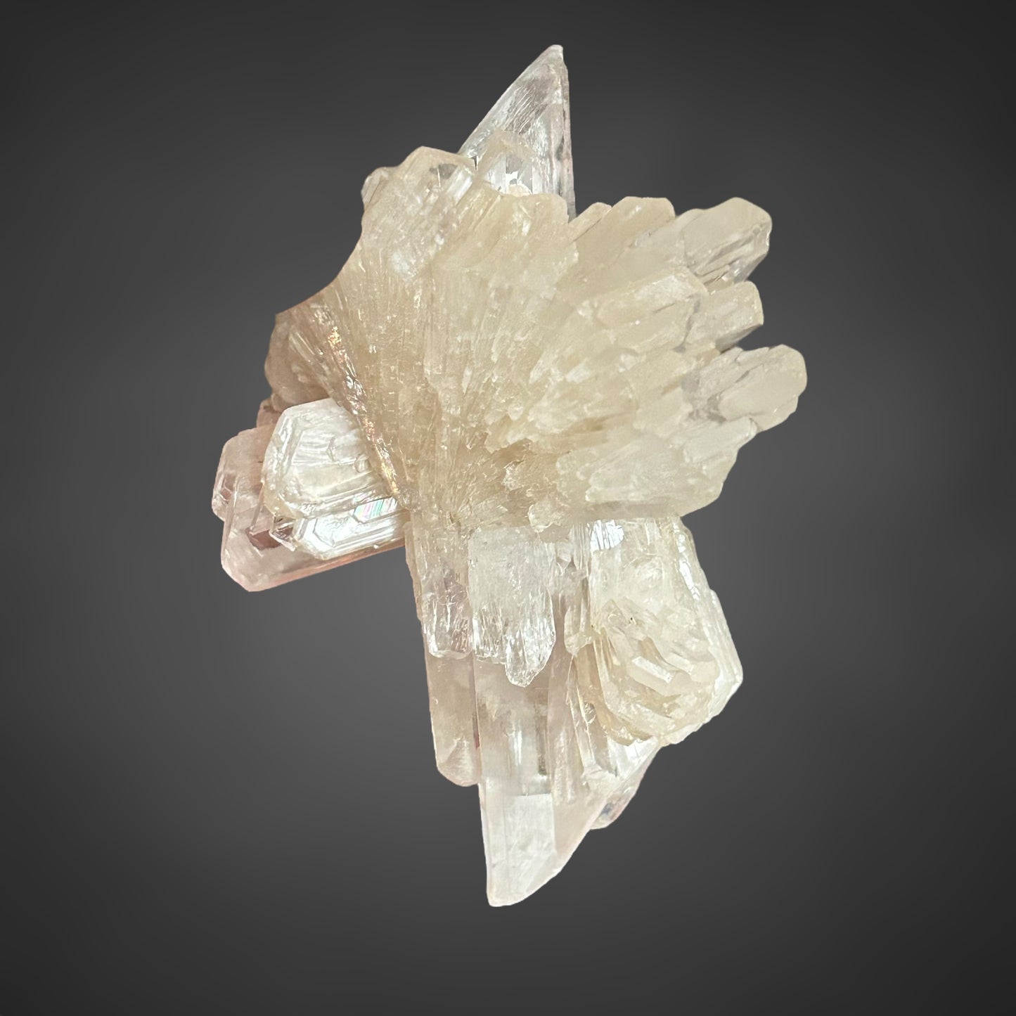 Gips xx/Gypsum - Zimmersrode, Kassel, Germany