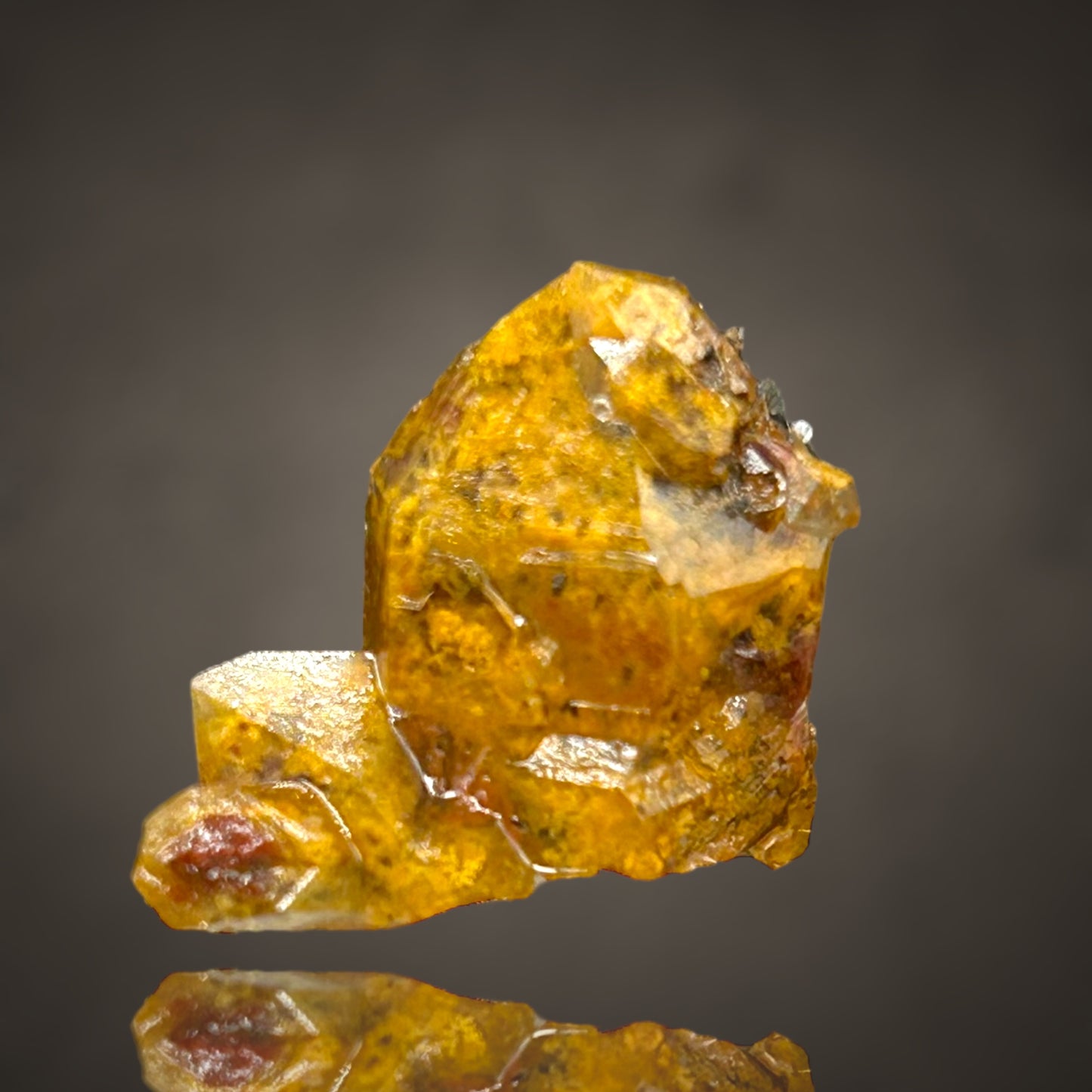 Quartz with Fungi inclusions/Quarz mit fossilen Pilzeinschlüssen - Sauerland