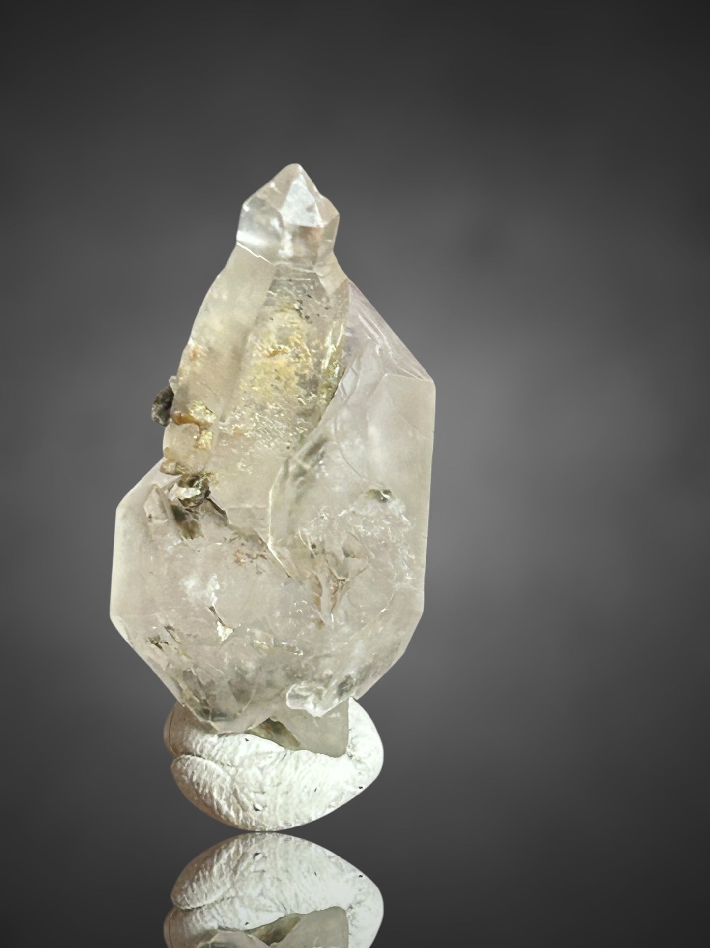 Amethystsceptre - Saurüssel, Tirol, Österreich