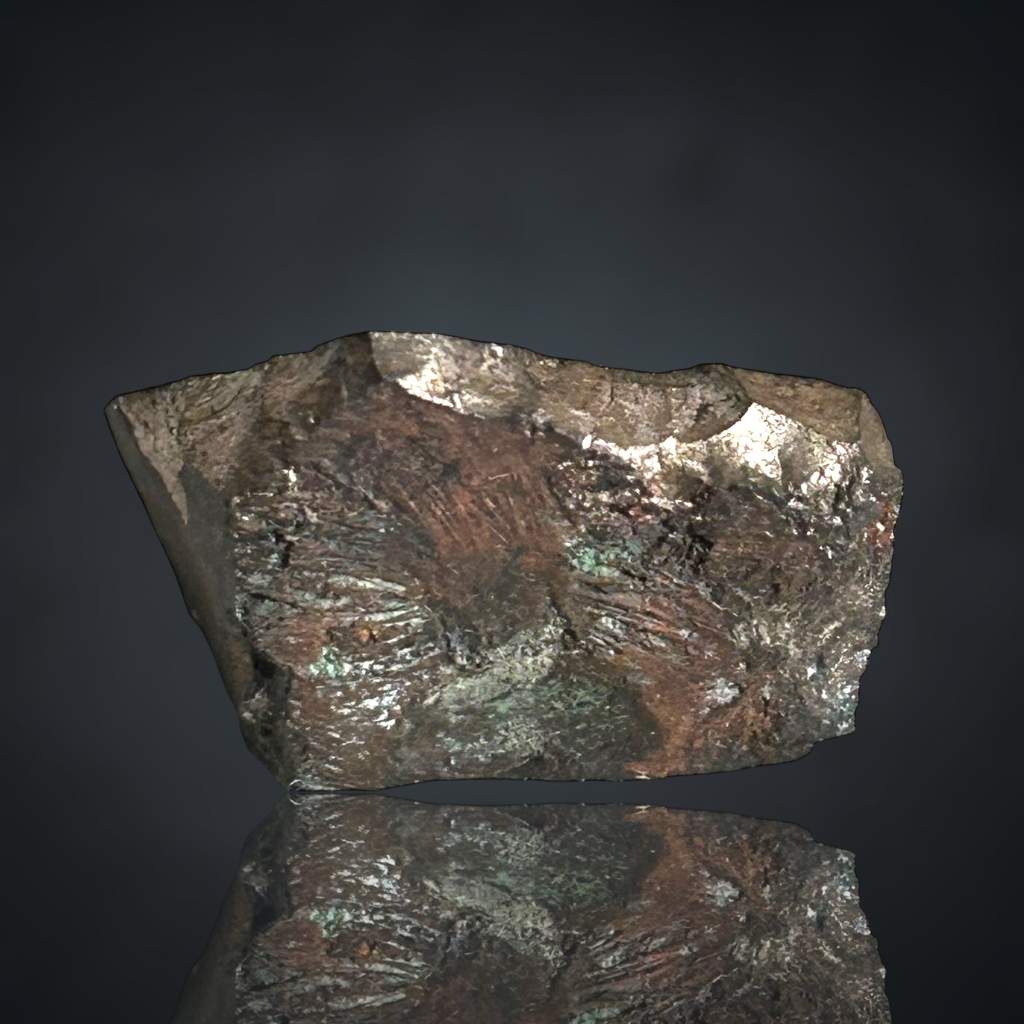 Danbait - Helbra/Eisleben 🇩🇪