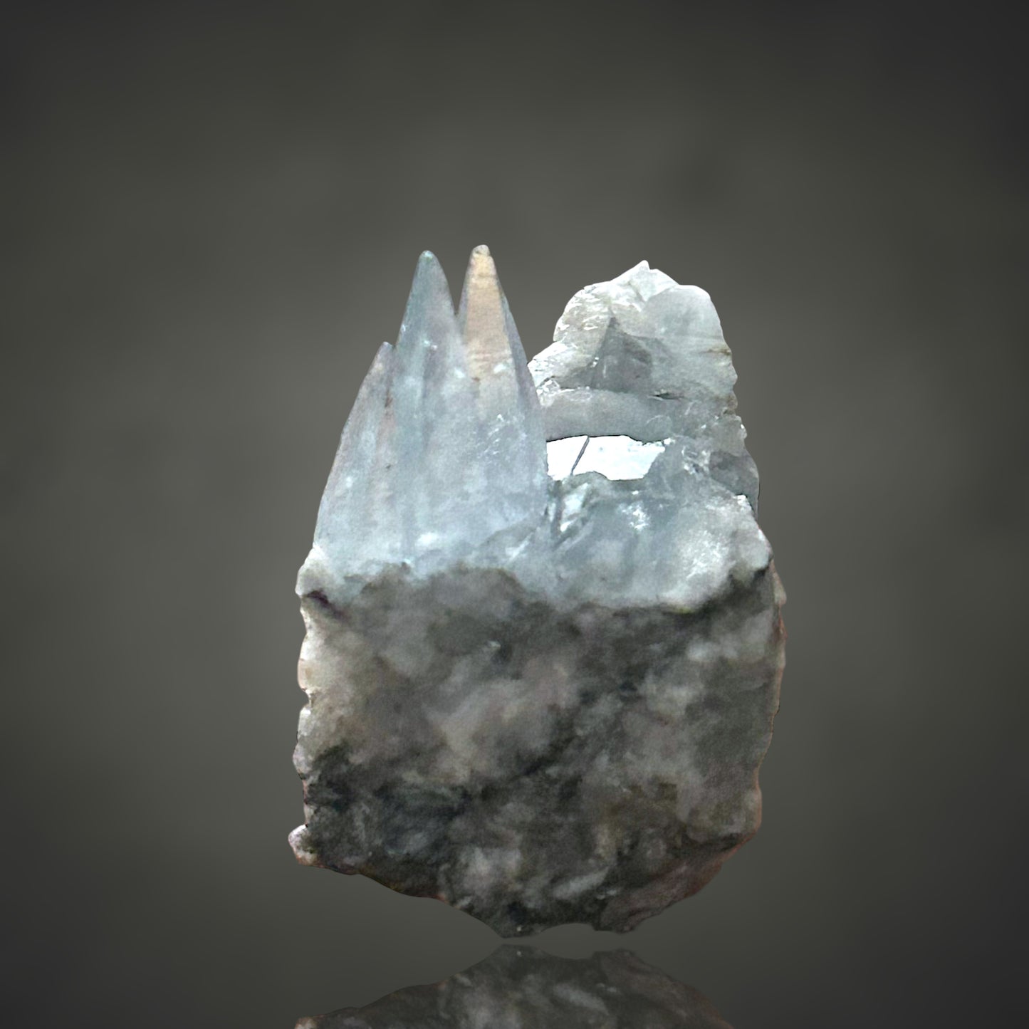 Coelestin - Deister, Hannover 🇩🇪