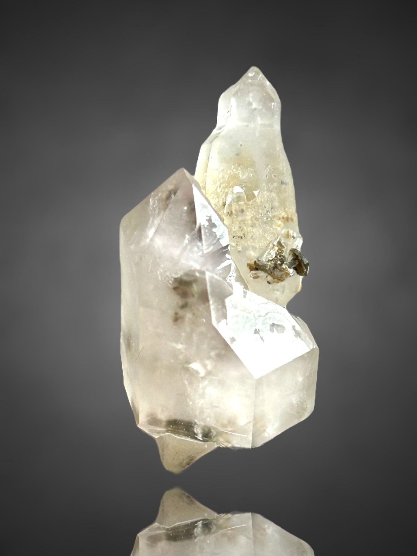 Amethystsceptre - Saurüssel, Tirol, Österreich