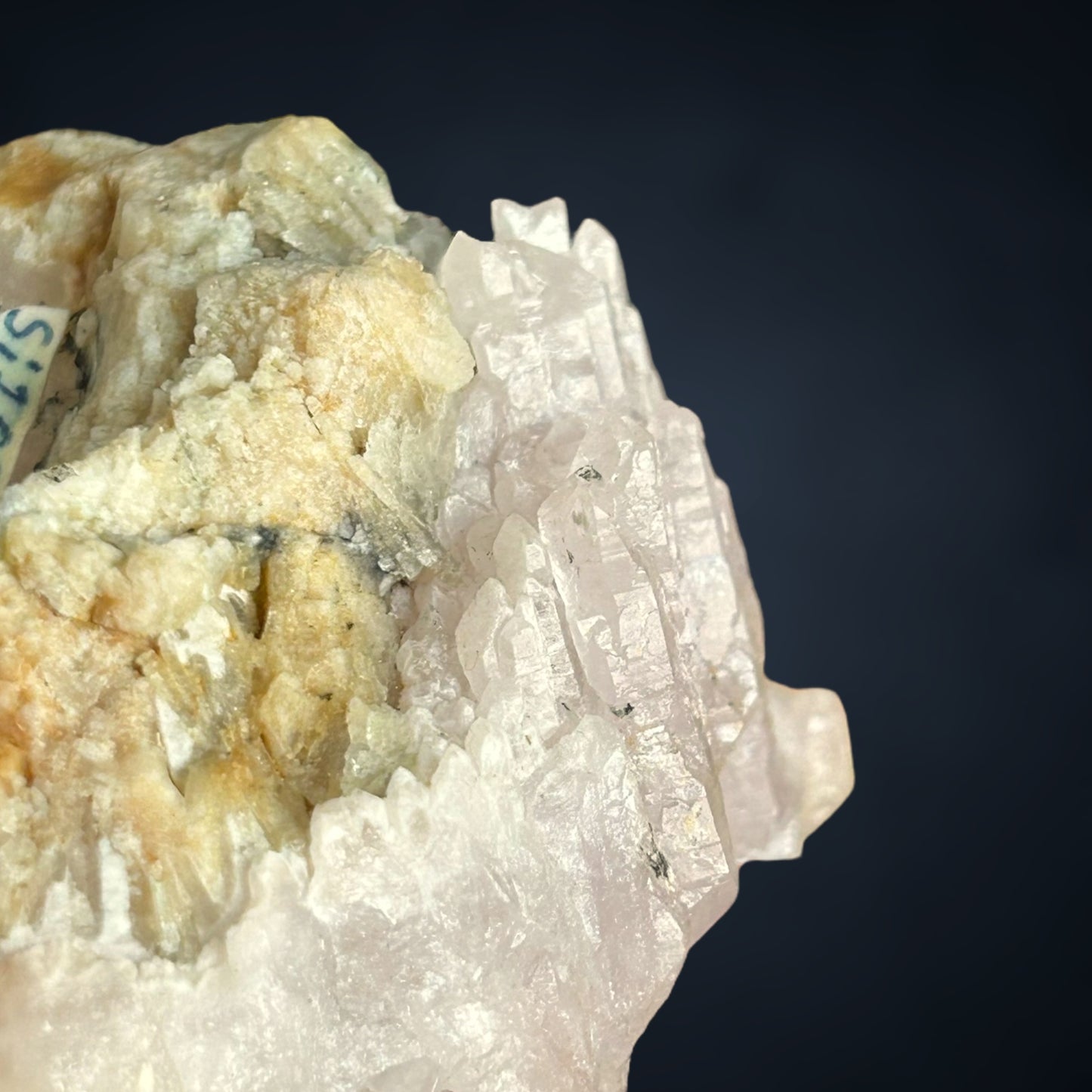 Rosenquarz Doppelender/Rose quartz DT - Brasil/ien