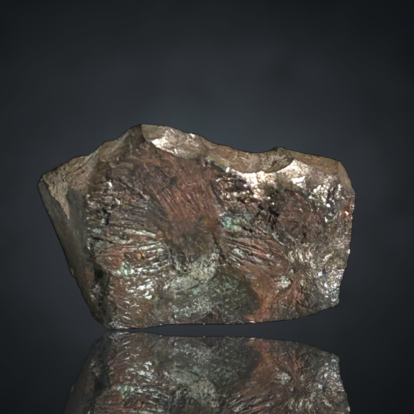 Danbait - Helbra/Eisleben 🇩🇪