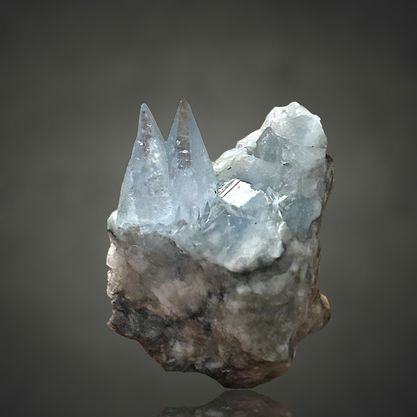 Coelestin - Deister, Hannover 🇩🇪