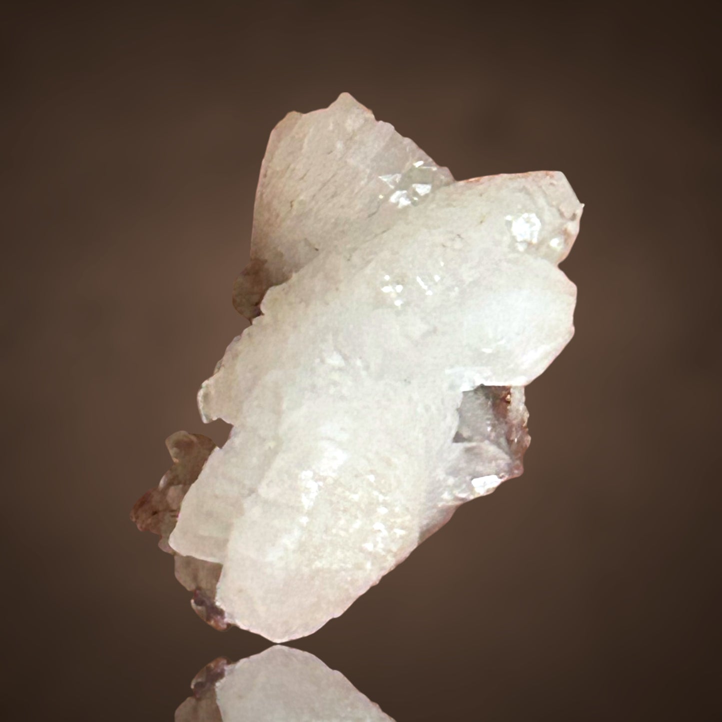 Adamin - Mapimi, Mexiko