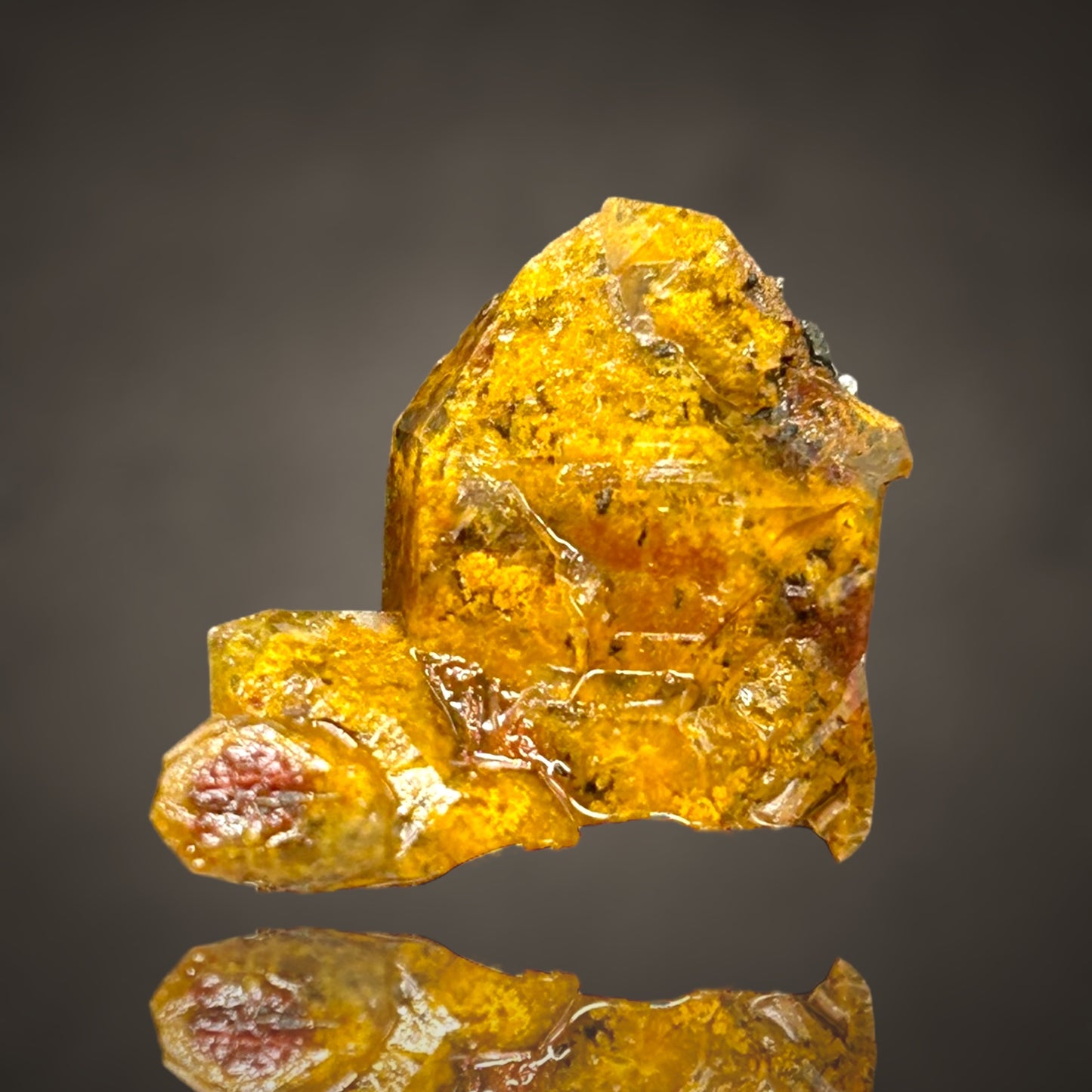 Quartz with Fungi inclusions/Quarz mit fossilen Pilzeinschlüssen - Sauerland