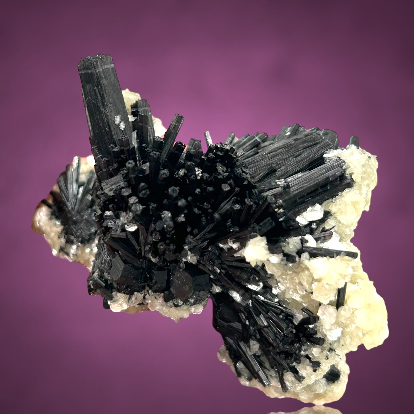 Tourmaline on Zinnwaldite - Erongo, Namibia