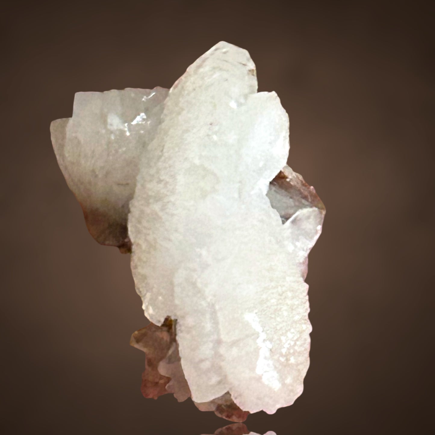 Adamin - Mapimi, Mexiko