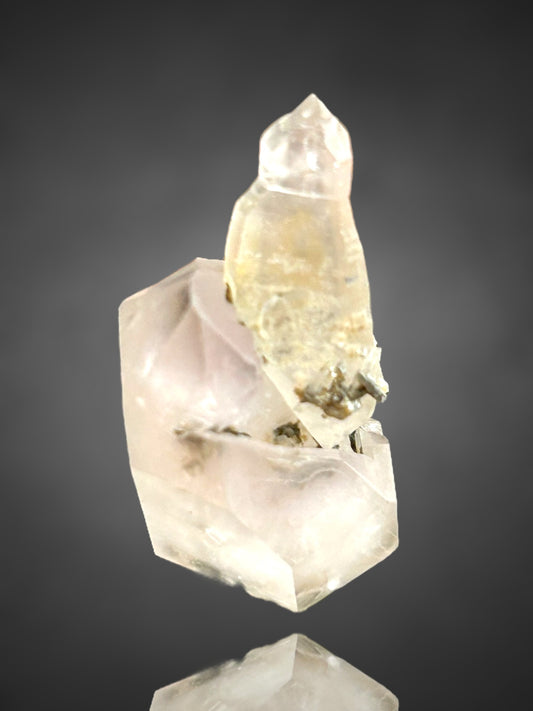 Amethystsceptre - Saurüssel, Tirol, Österreich