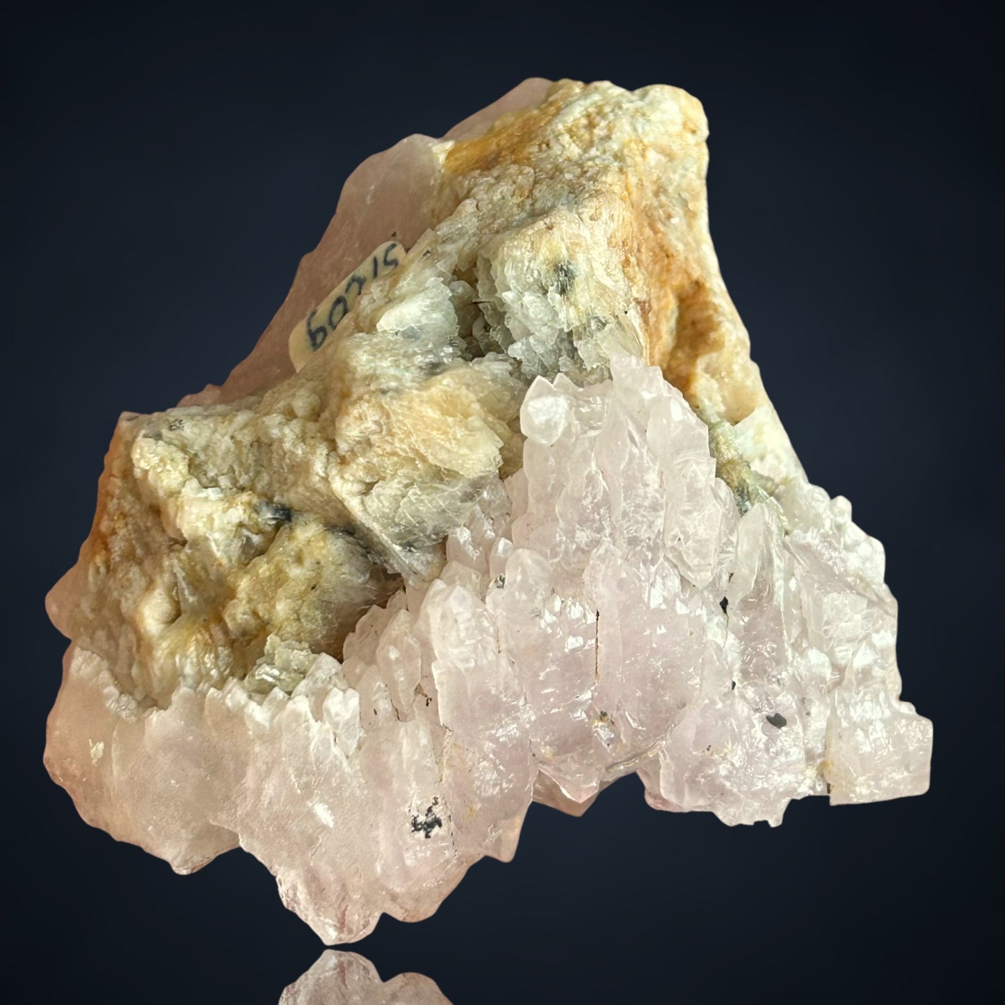 Rosenquarz Doppelender/Rose quartz DT - Brasil/ien