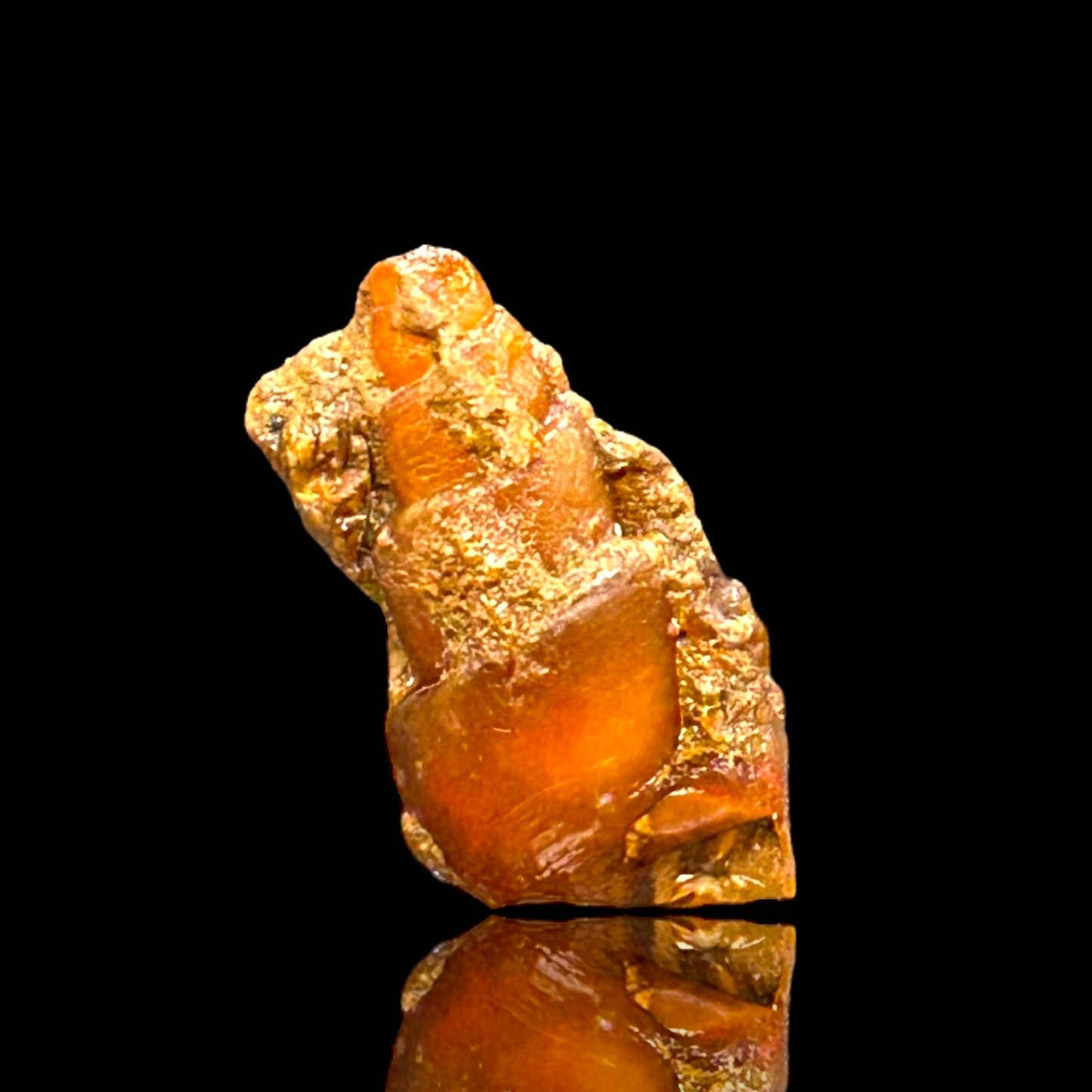 21 achatisierte Turitella - Westsahara