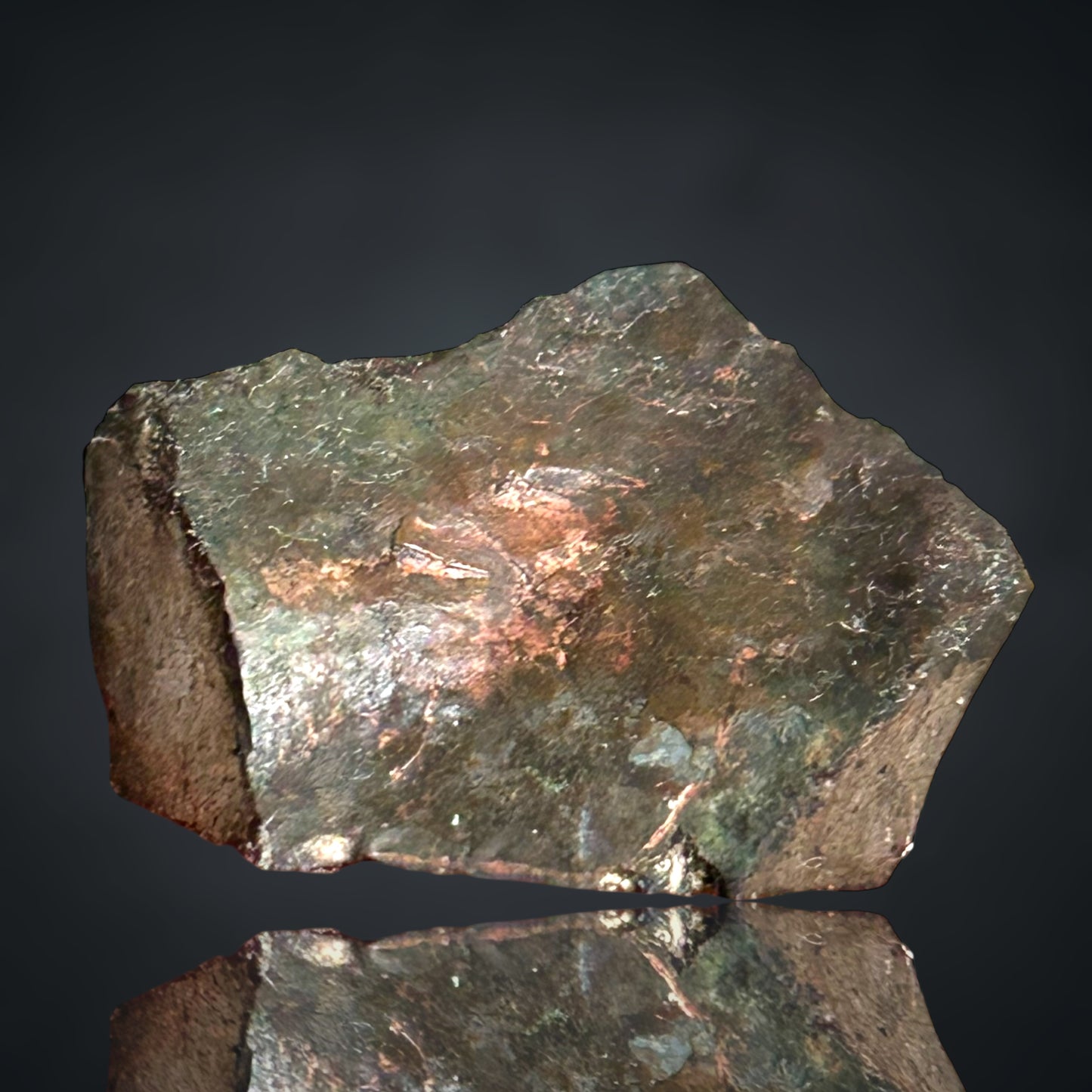 Danbait - Helbra/Eisleben 🇩🇪