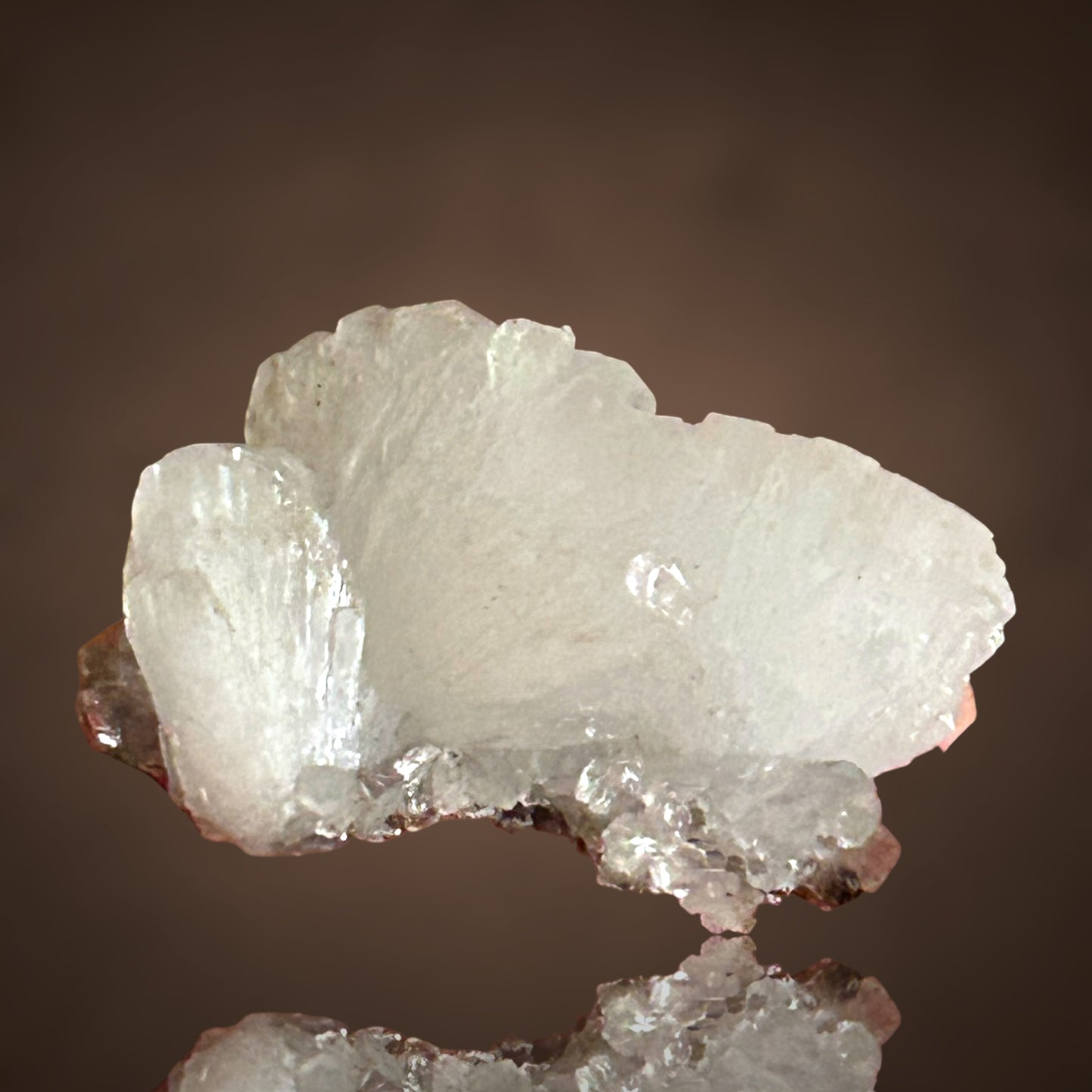 Adamin - Mapimi, Mexiko