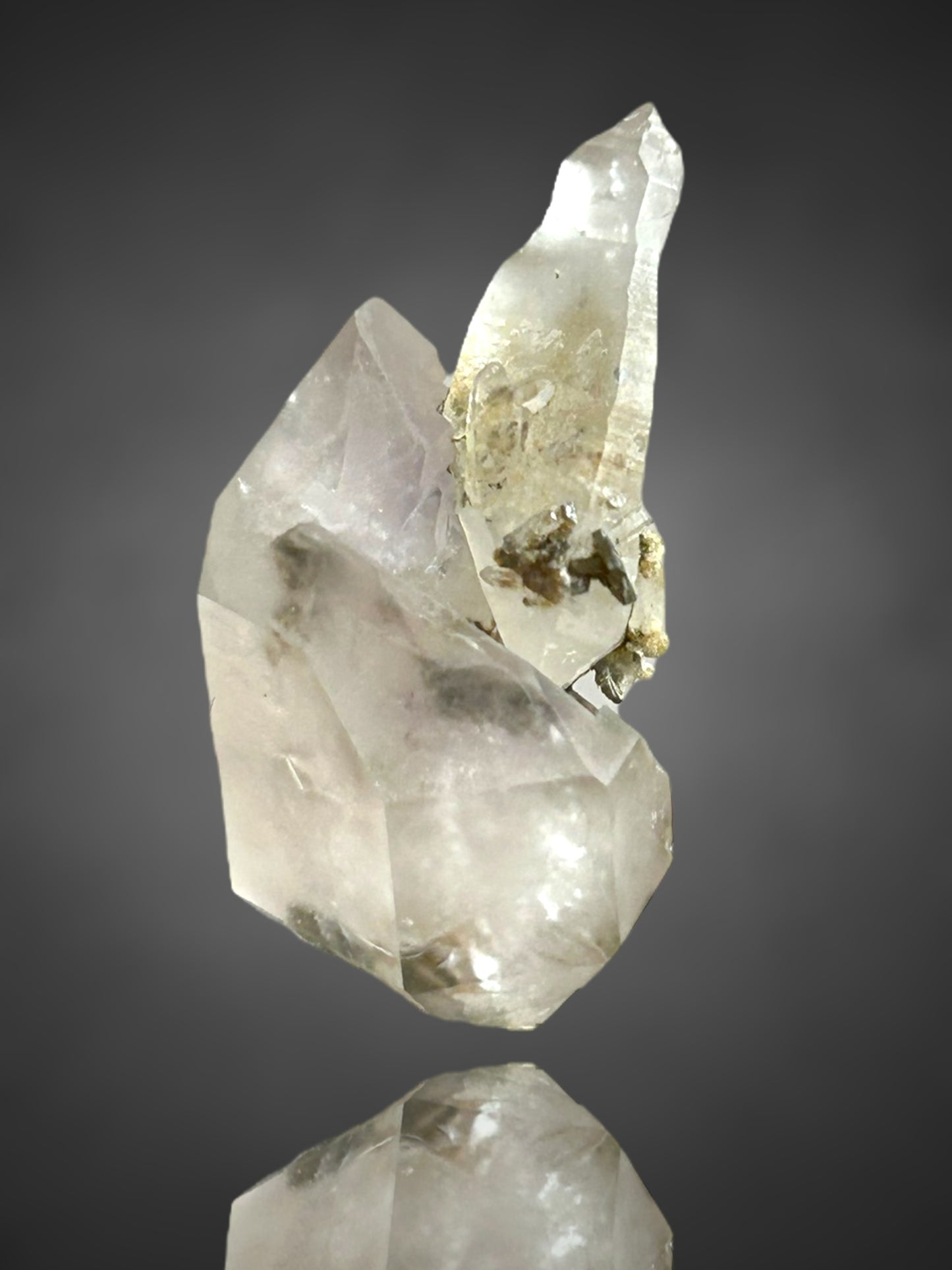 Amethystsceptre - Saurüssel, Tirol, Österreich