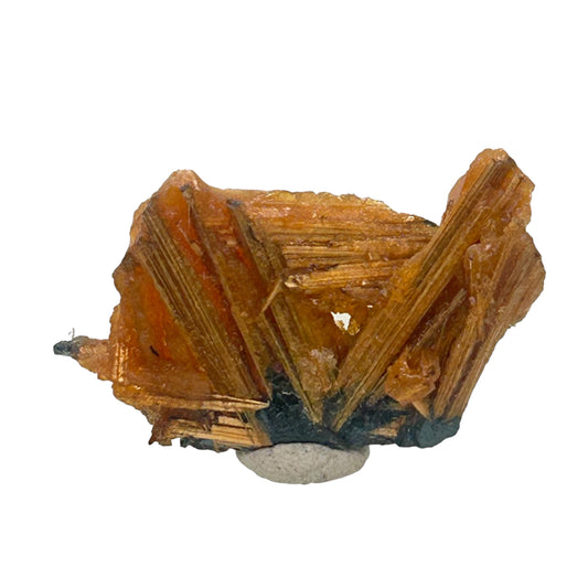 Opal with Rutile/Hematite Star - Novo Horizonte