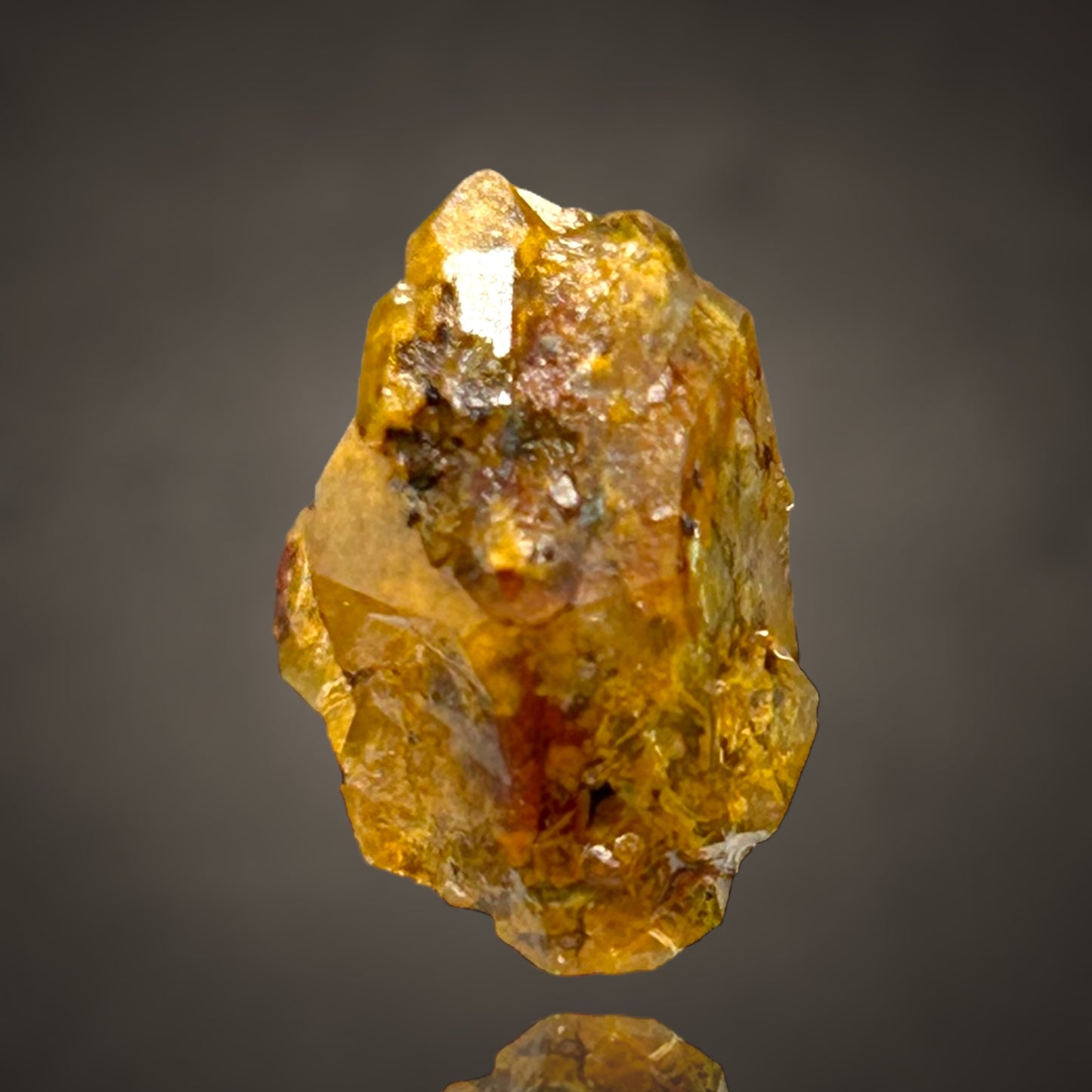 Quartz with Fungi inclusions/Quarz mit fossilen Pilzeinschlüssen - Sauerland