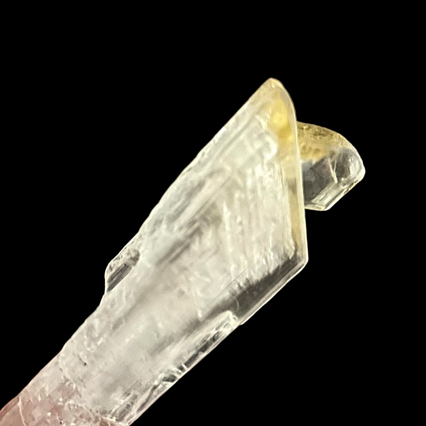 Golden Gypsum - Bleicherode, Germany