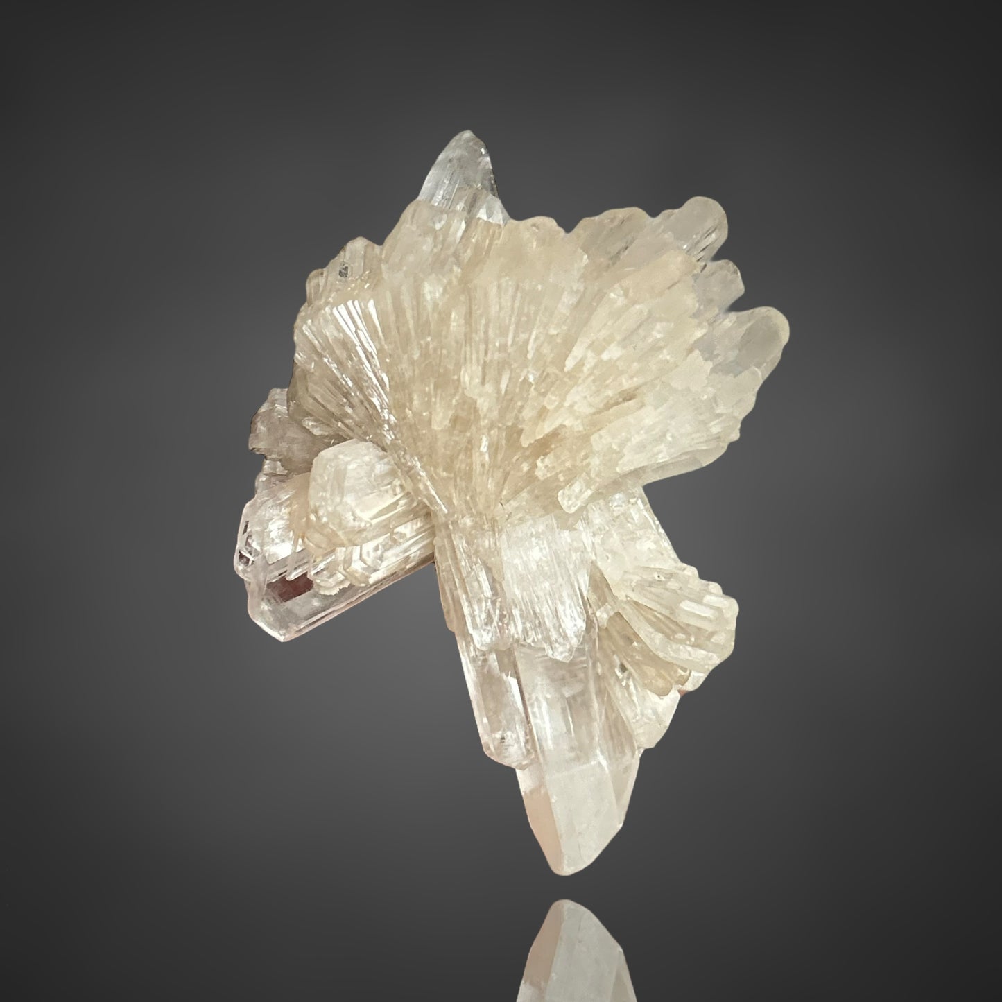 Gips xx/Gypsum - Zimmersrode, Kassel, Germany