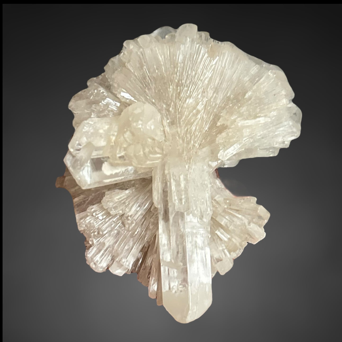 Gips xx/Gypsum - Zimmersrode, Kassel, Germany