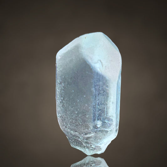 Blautopas – Minas Gerais, Brasilien