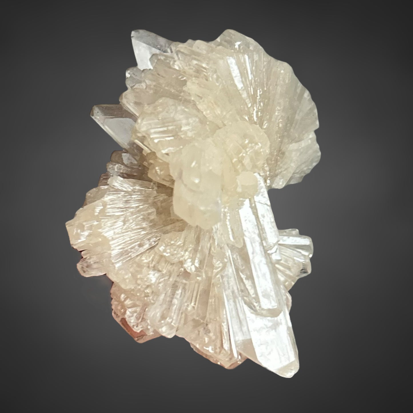 Gips xx/Gypsum - Zimmersrode, Kassel, Germany