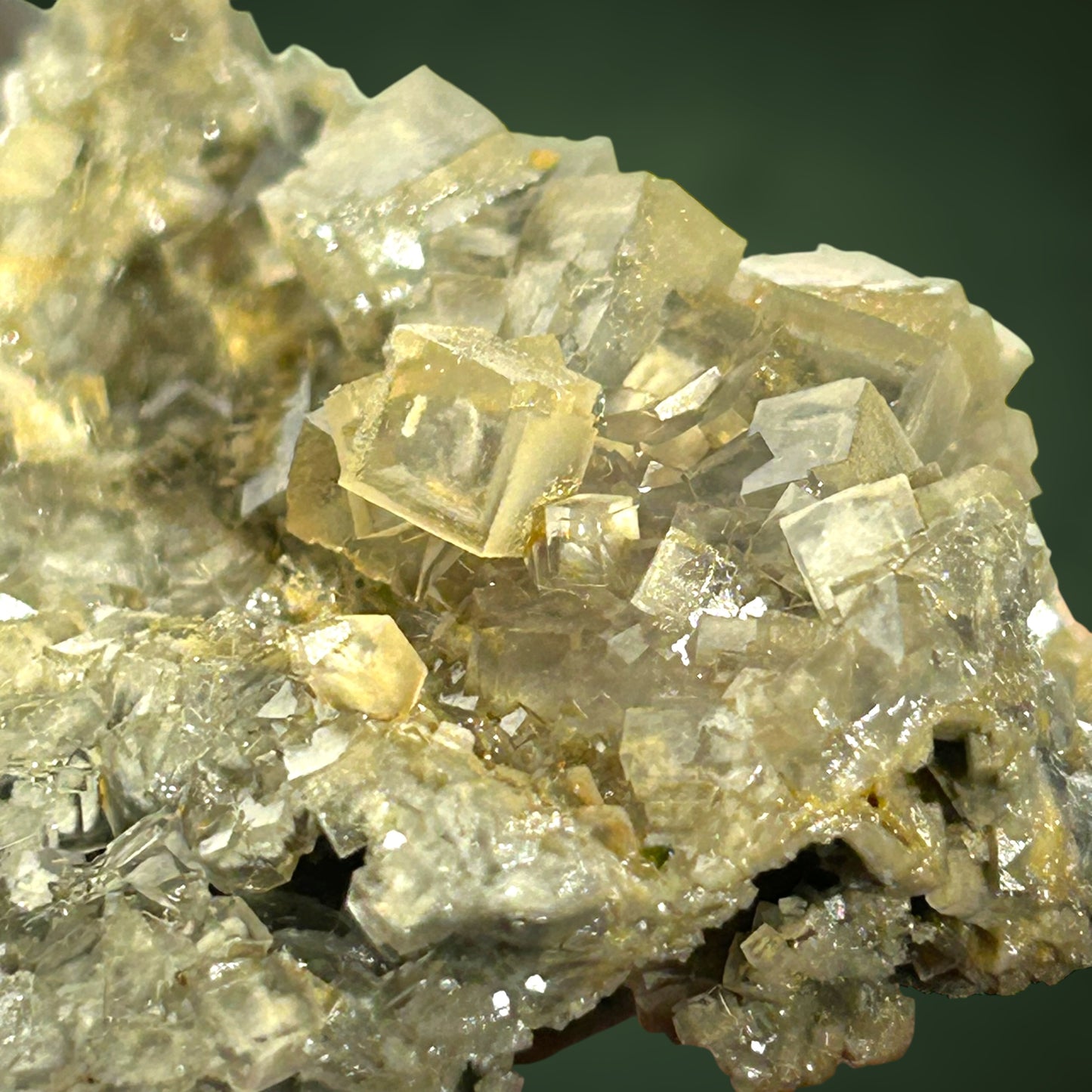 Phantom Fluorite - Weisseck, Lungau, Austria