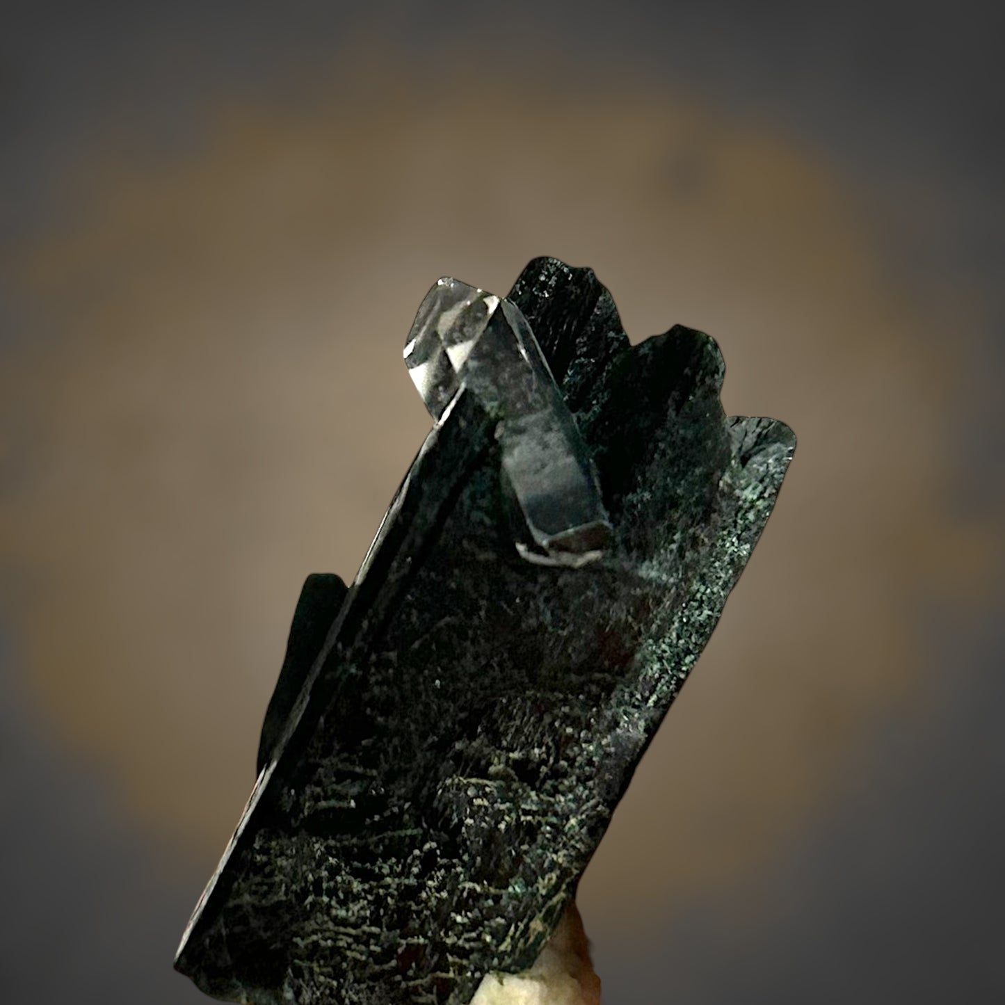 Aegirine, Smoky Quartz - Mt. Malosa, Malawi