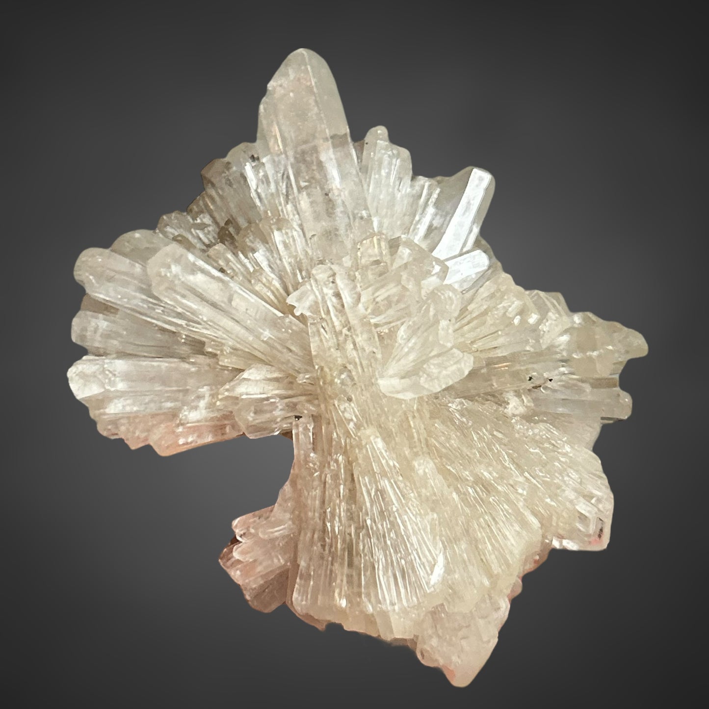 Gips xx/Gypsum - Zimmersrode, Kassel, Germany
