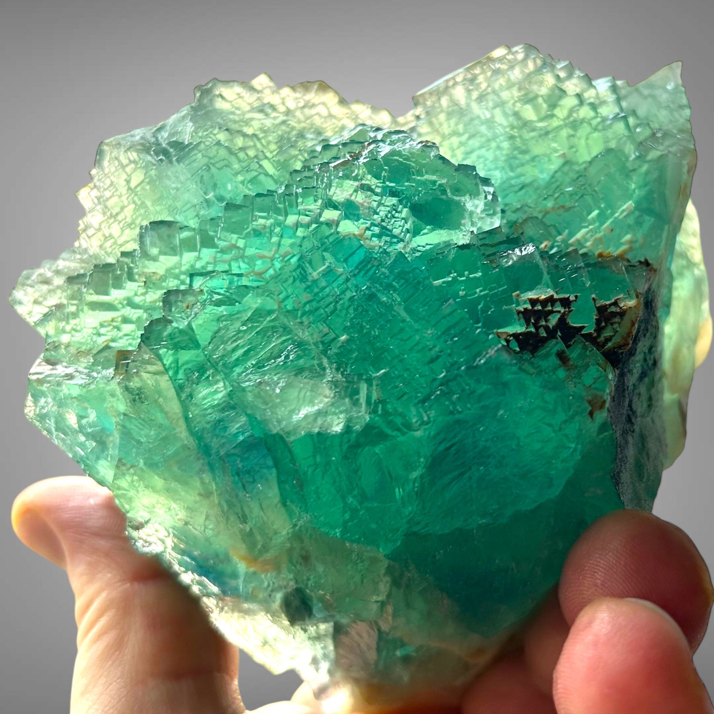 Grünblauer Fluorit - Erongo, Namibia