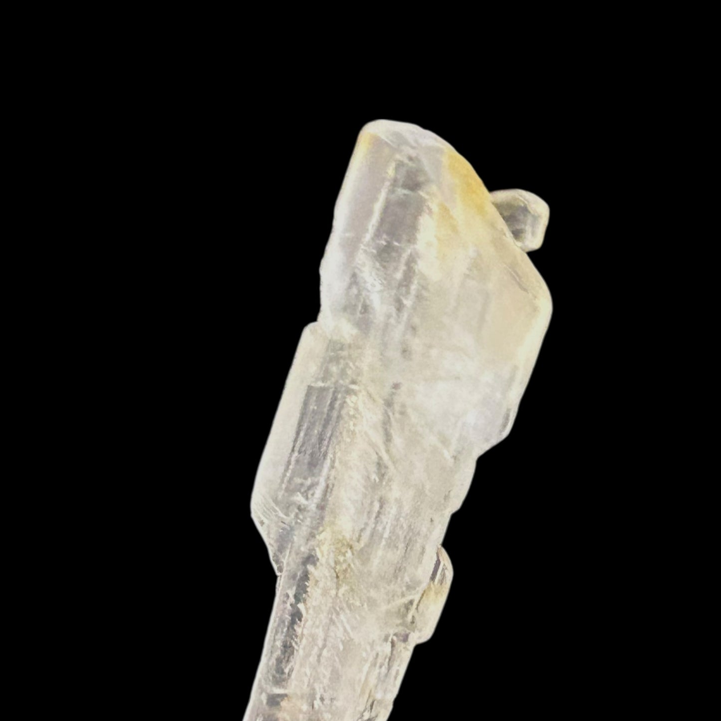 Golden Gypsum - Bleicherode, Thuringia