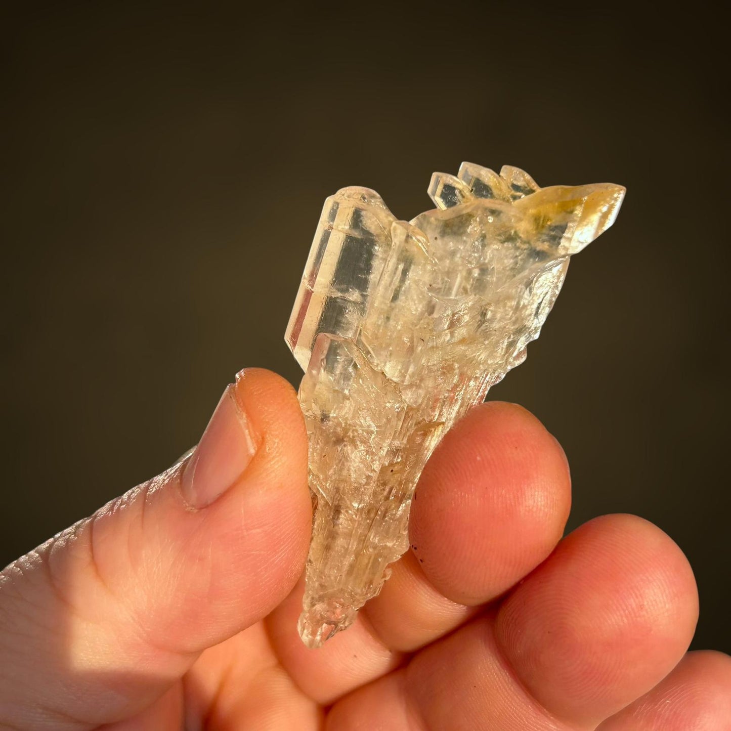 Golden Gypsum - Bleicherode, Harz Mts