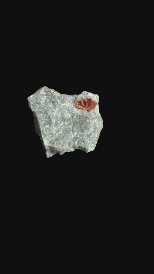 Tuperssuatsiaite - Windhoek, Namibia